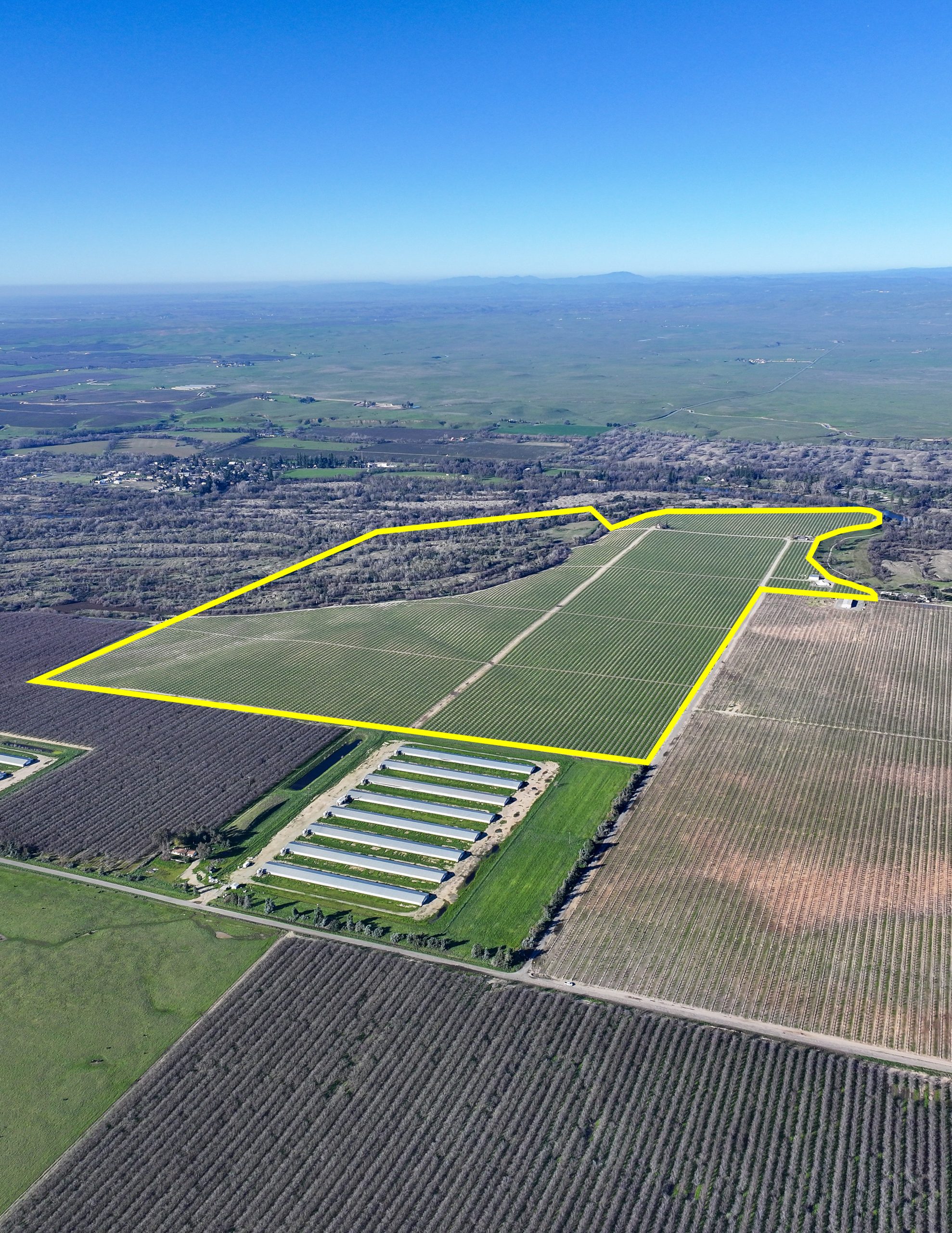 +/-268.67 Acres – Pistachios and Homes – Snelling, CA
